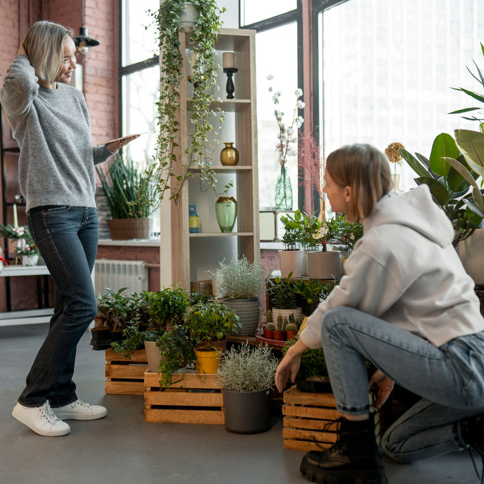 The Benefits of Indoor Gardening: Creating a Healthier Home