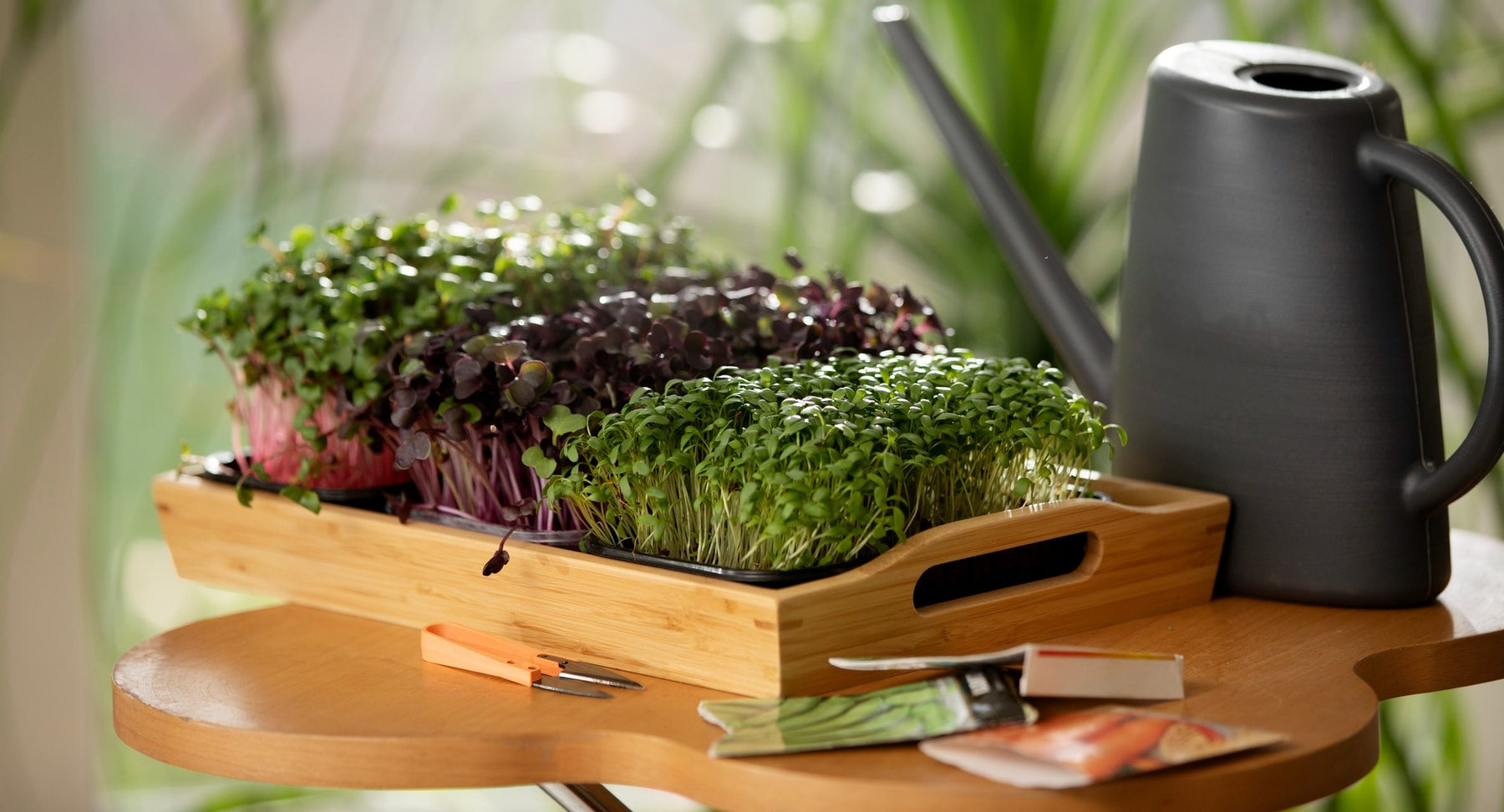 Container Garden Ideas for Growing Tons of Food in A Small Space