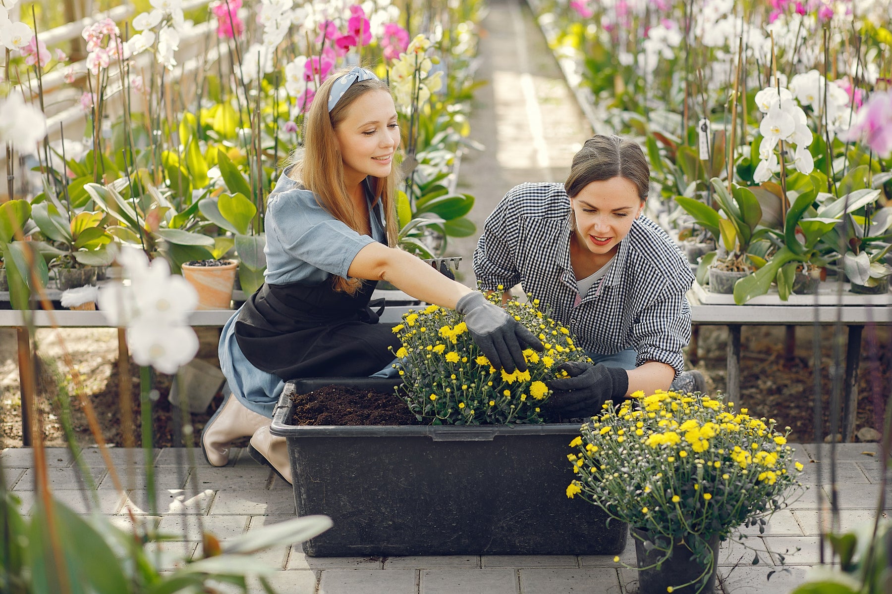 When is the Best Time to Plant Flowers?