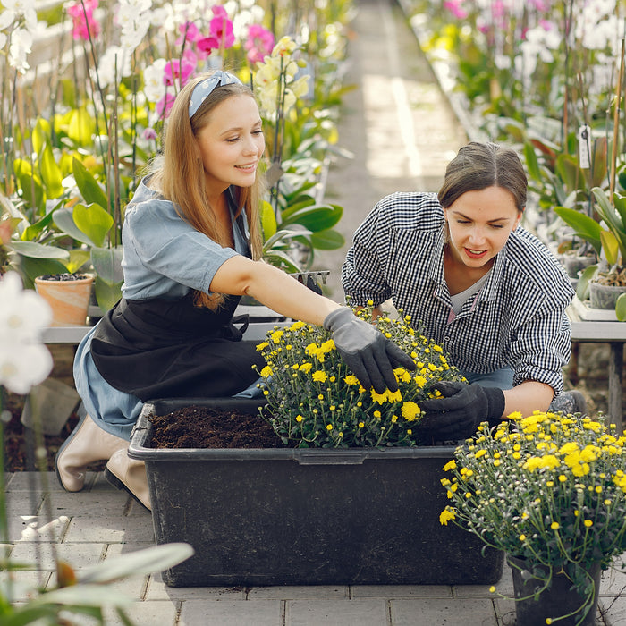 When is the Best Time to Plant Flowers?