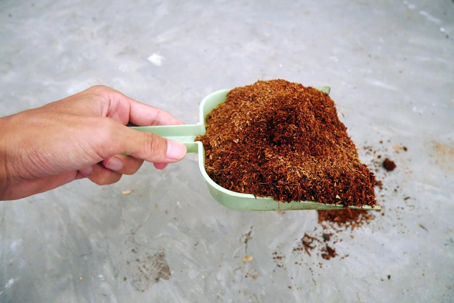 Common Mistakes When Using Cocopeat: How to Avoid Planting Pitfalls