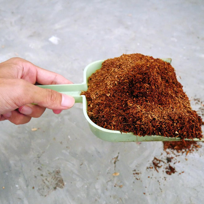 Common Mistakes When Using Cocopeat: How to Avoid Planting Pitfalls