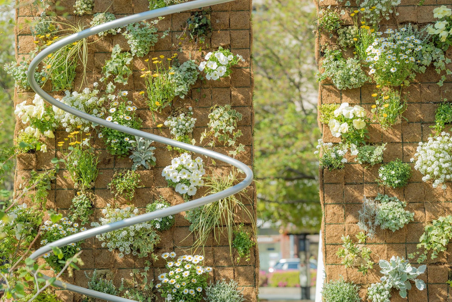 10 Beautiful Climbing Plants for Arches: Adding Charm to Your Garden