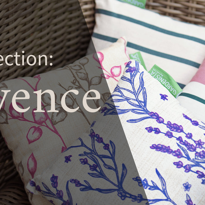 New Designs: Introducing Provance