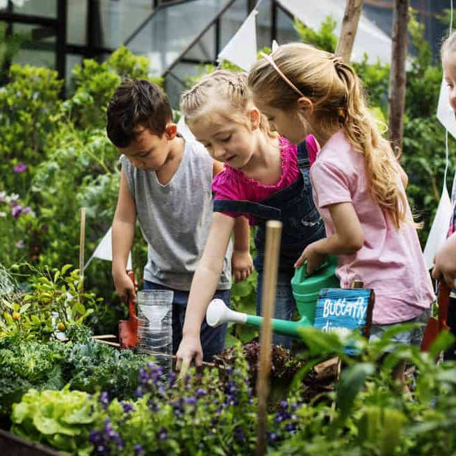Gardening for Kids: Engaging Activities to Foster a Love for Nature