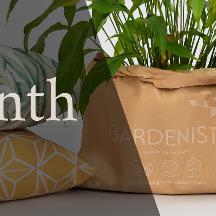 Introducing Eco Month at Gardenista