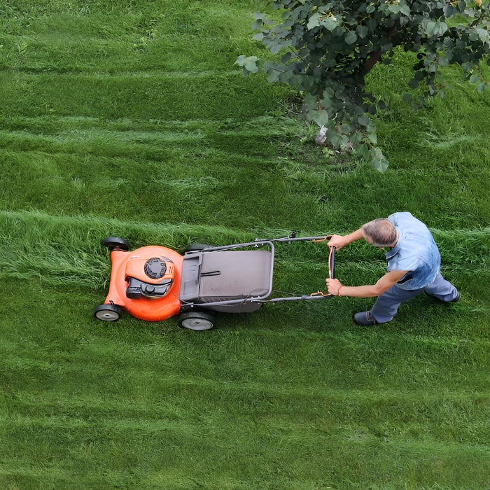 How to Take Care of Your Lawn?