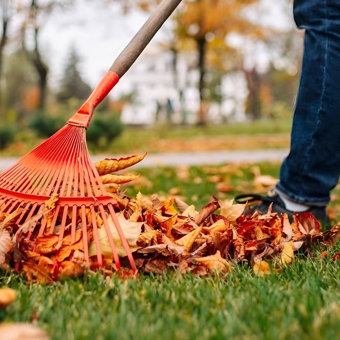 10 Essential Things to Do in the Garden this Autumn