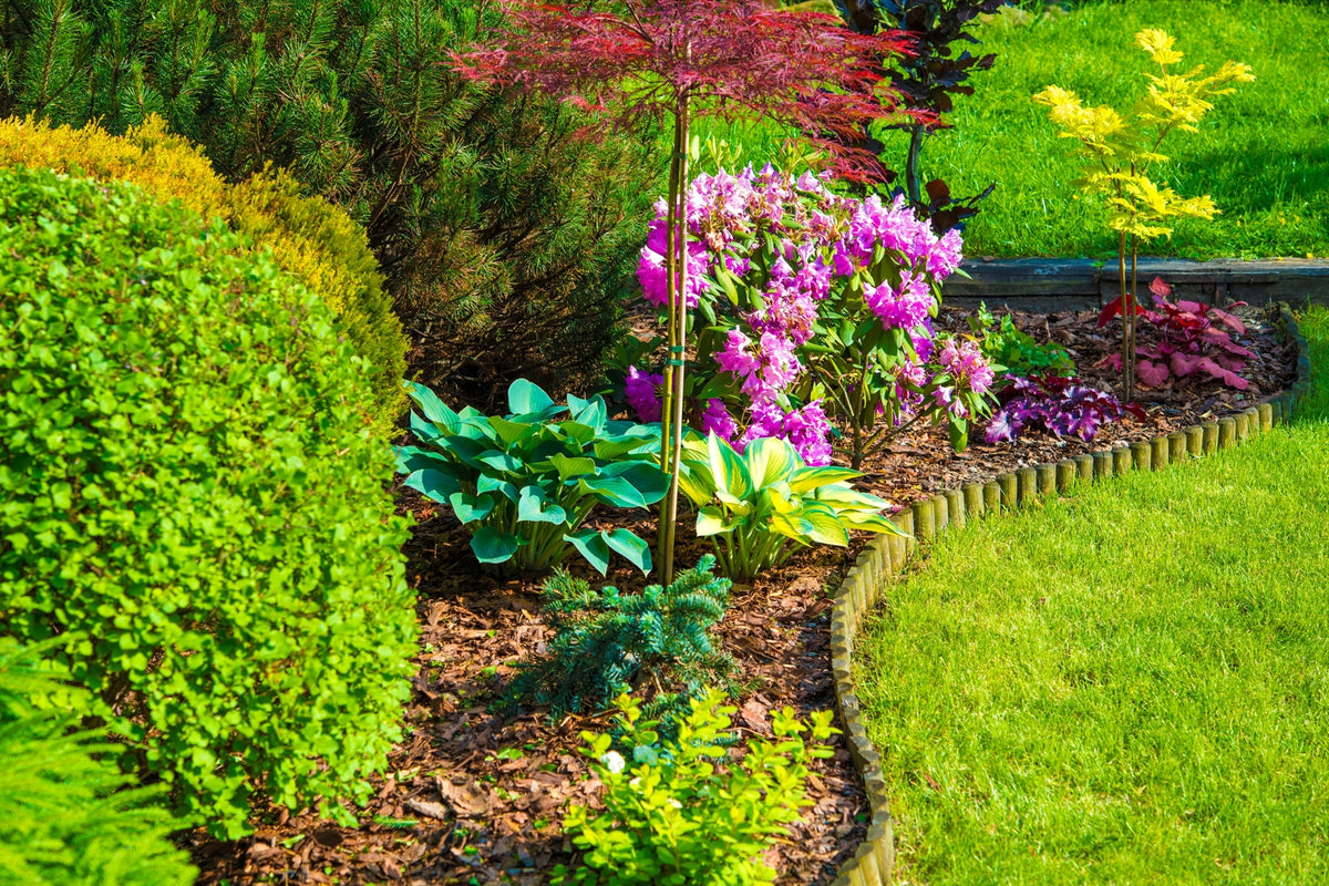 How to Add Colour in A Small Garden: Small Garden Ideas — GardenistaUK ...