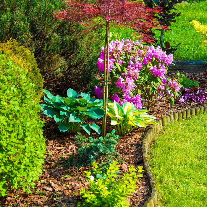 How to Add Colour in A Small Garden: Small Garden Ideas