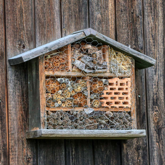 How to Build a Bug Hotel?