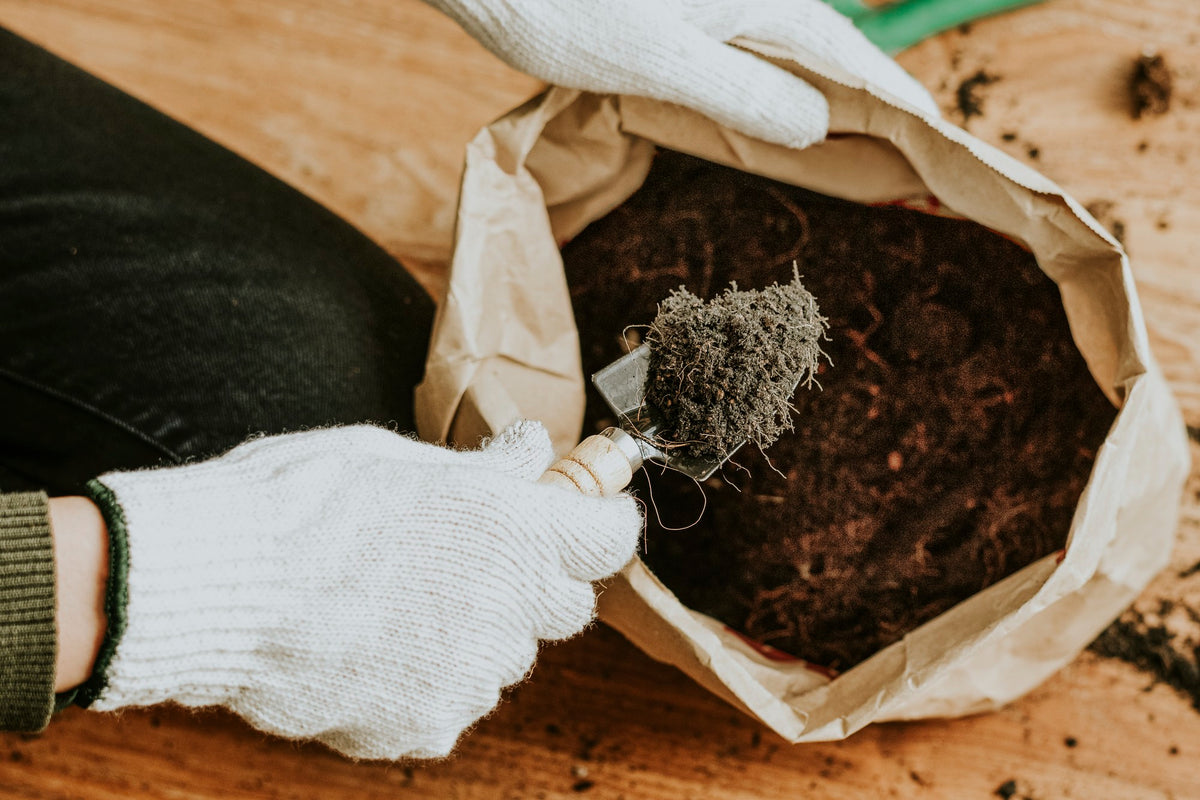 5 Reasons To Choose Organic Fertilizer For Your Garden — Gardenistauk Store