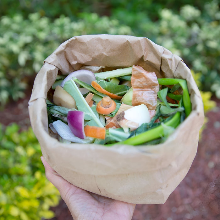 What to Do with Food Scraps in Your Garden?